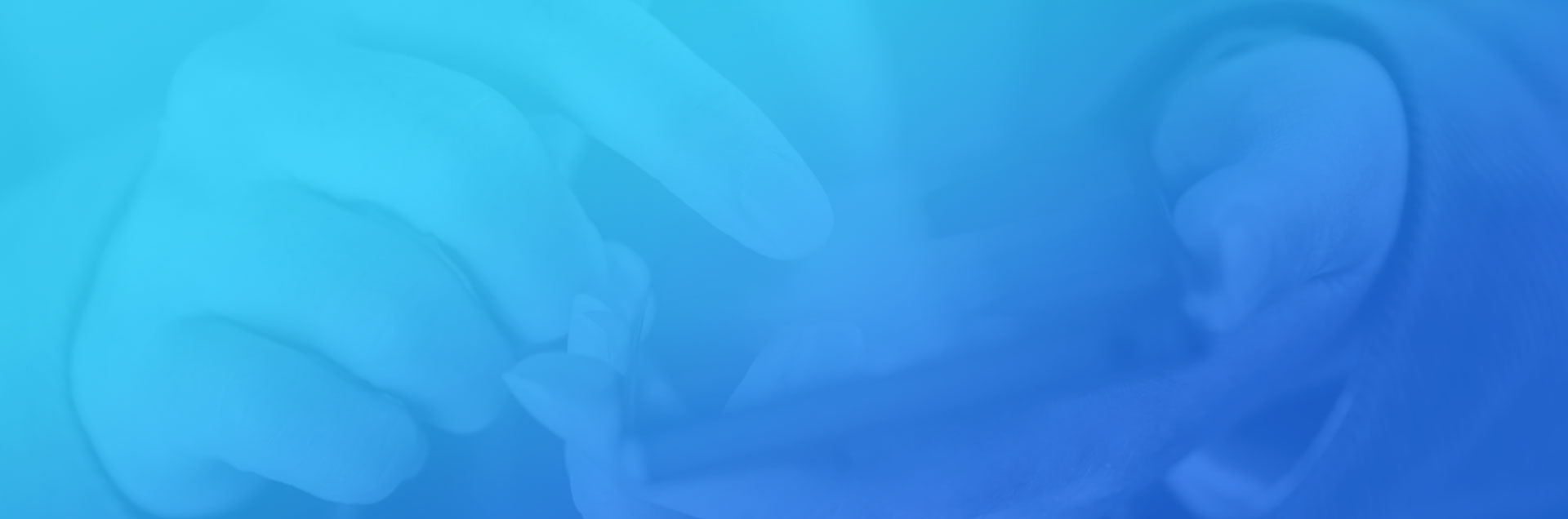 一網(wǎng)天行-網(wǎng)站建設(shè)|微信開發(fā)|小程序開發(fā)