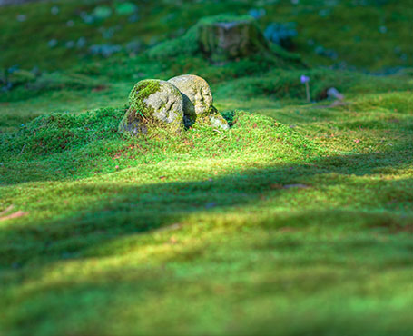 中影之星文化傳播企業(yè)官網(wǎng)|一網(wǎng)天行-網(wǎng)站建設(shè)小程序APP系統(tǒng)軟件開(kāi)發(fā)公司