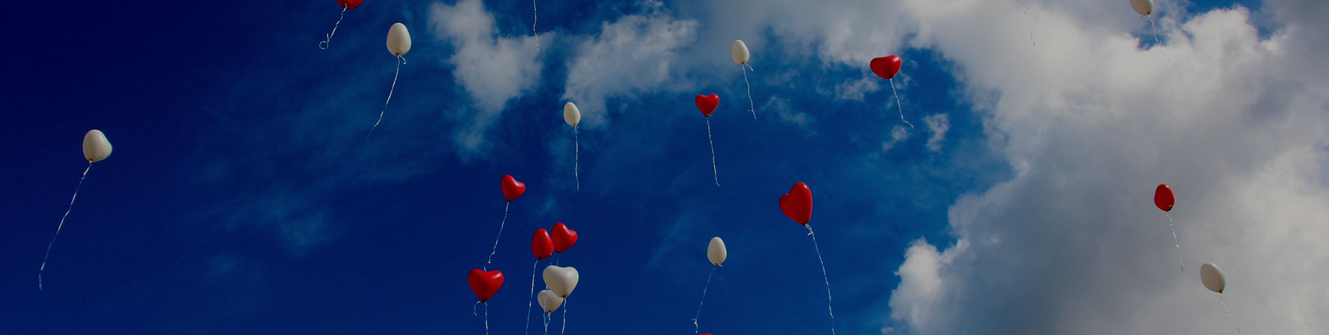 大眾籌-在線眾籌網(wǎng)站平臺|一網(wǎng)天行-網(wǎng)站建設(shè)小程序APP系統(tǒng)軟件開發(fā)公司