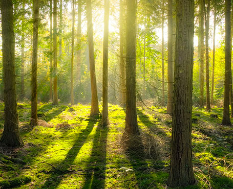 愛的天使-空氣凈化器電商平臺(tái)